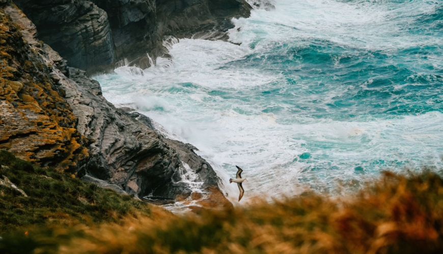 Islas Malvinas