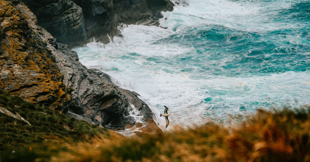 Islas Malvinas