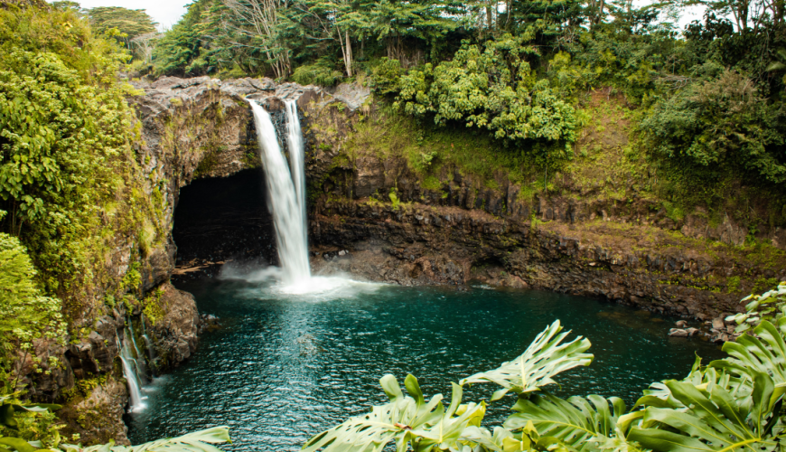 Pokemon fans in Hawaii