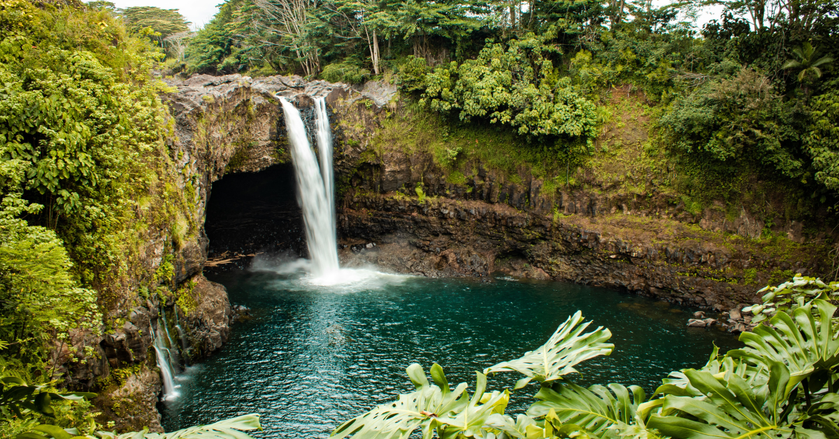 Pokemon fans in Hawaii