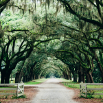 Places in Savannah