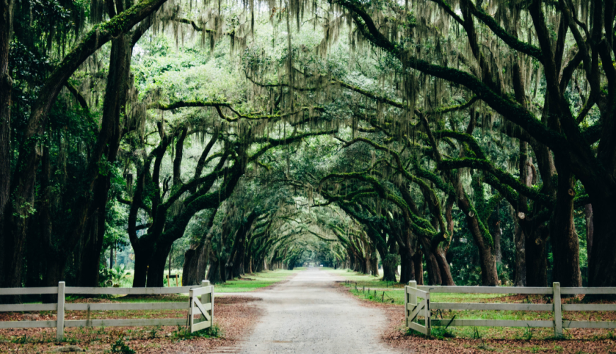 Places in Savannah