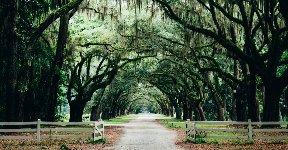 Places in Savannah